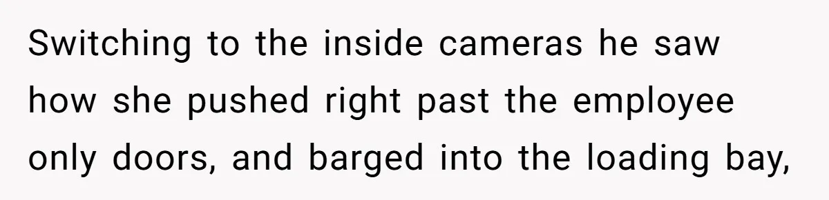 Switching to the inside cameras he saw how she pushed right past the employee only doors, and barged into the loading bay,
