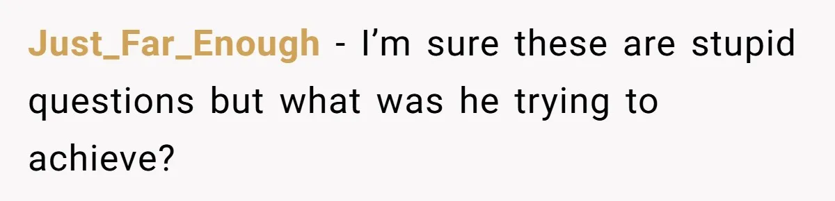 Just_Far_Enough − I’m sure these are stupid questions but what was he trying to achieve?
