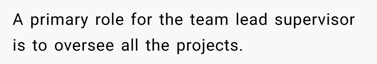 A primary role for the team lead supervisor is to oversee all the projects.