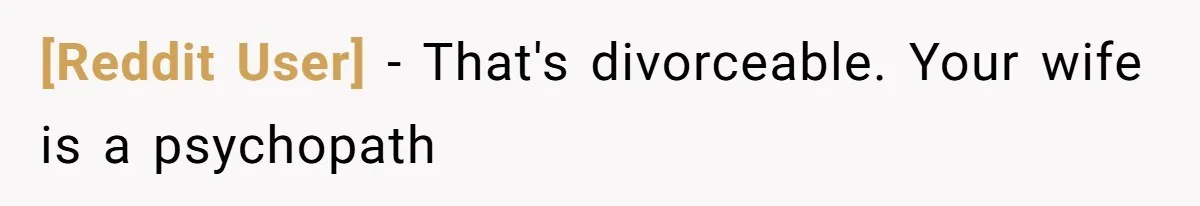[Reddit User] − That's divorceable. Your wife is a psychopath