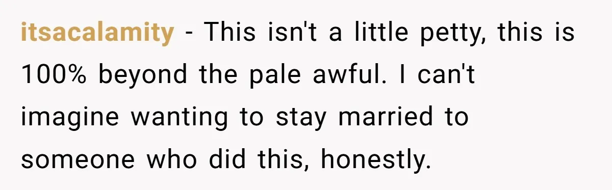 itsacalamity − This isn't a little petty, this is 100% beyond the pale awful. I can't imagine wanting to stay married to someone who did this, honestly.