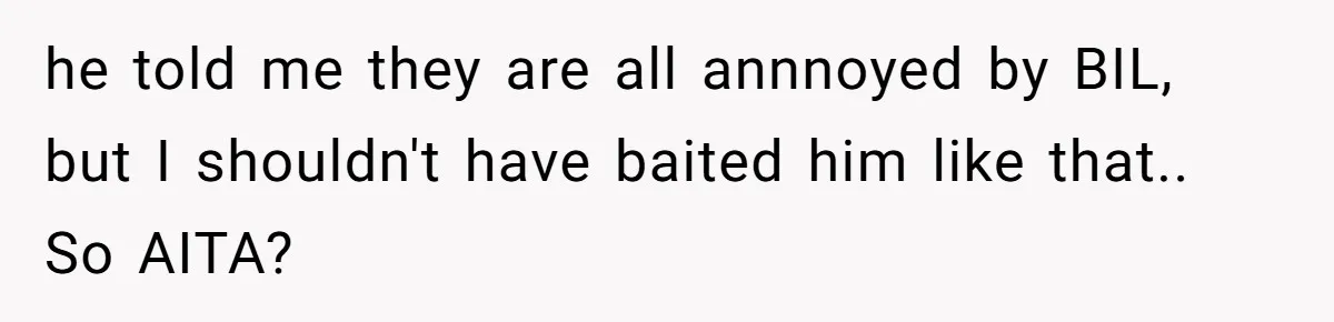 he told me they are all annnoyed by BIL, but I shouldn't have baited him like that.. So AITA?