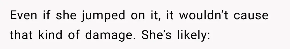 Even if she jumped on it, it wouldn’t cause that kind of damage. She’s likely: