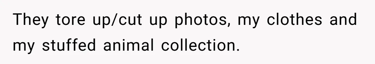 They tore up/cut up photos, my clothes and my stuffed animal collection.