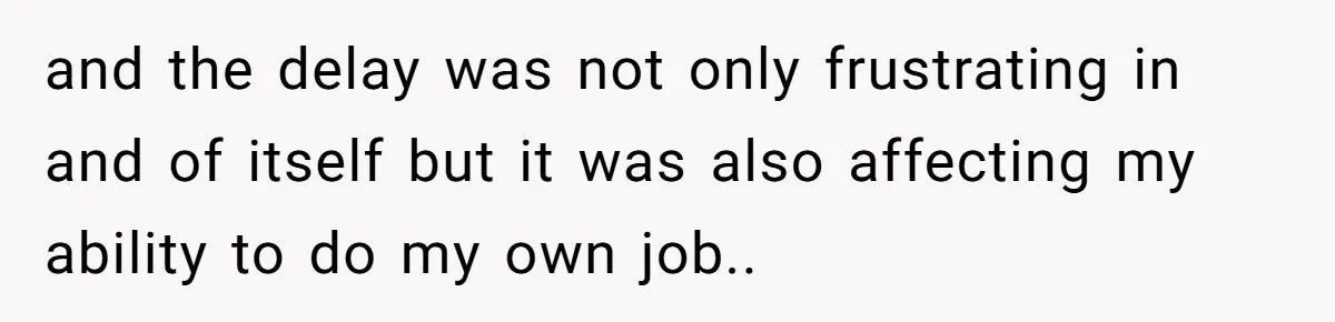 and the delay was not only frustrating in and of itself but it was also affecting my ability to do my own job..