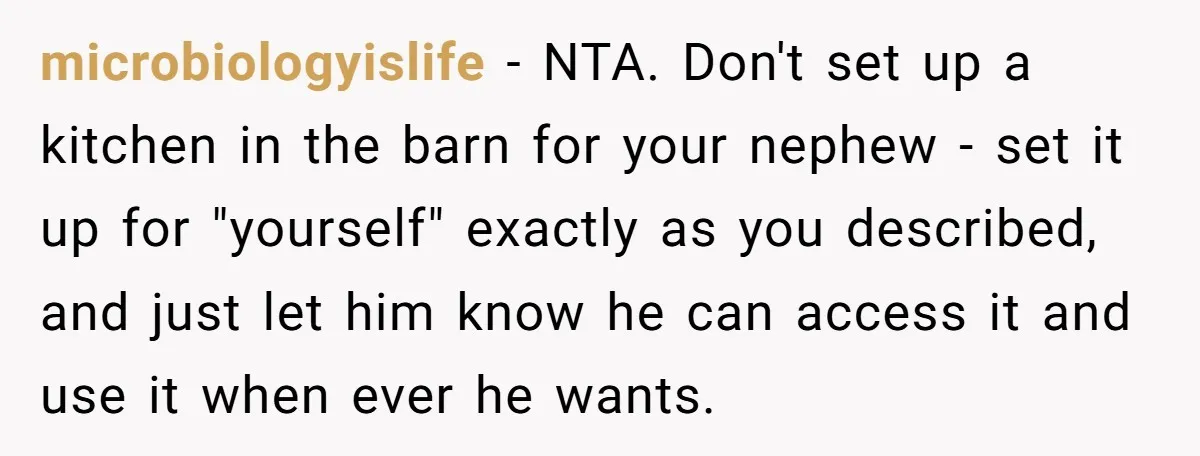 microbiologyislife − NTA. Don't set up a kitchen in the barn for your nephew - set it up for "yourself" exactly as you described, and just let him know he...