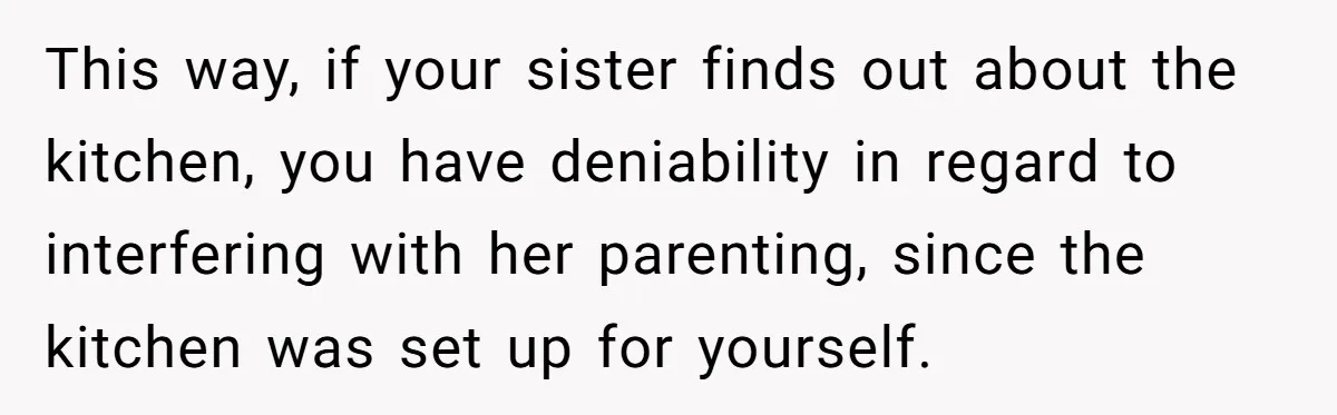 This way, if your sister finds out about the kitchen, you have deniability in regard to interfering with her parenting, since the kitchen was set up for yourself.
