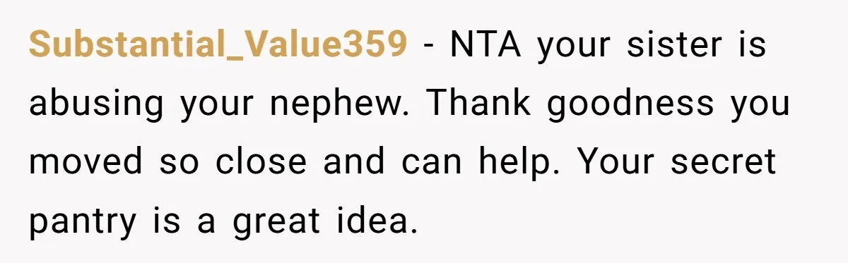 Substantial_Value359 − NTA your sister is abusing your nephew. Thank goodness you moved so close and can help. Your secret pantry is a great idea.