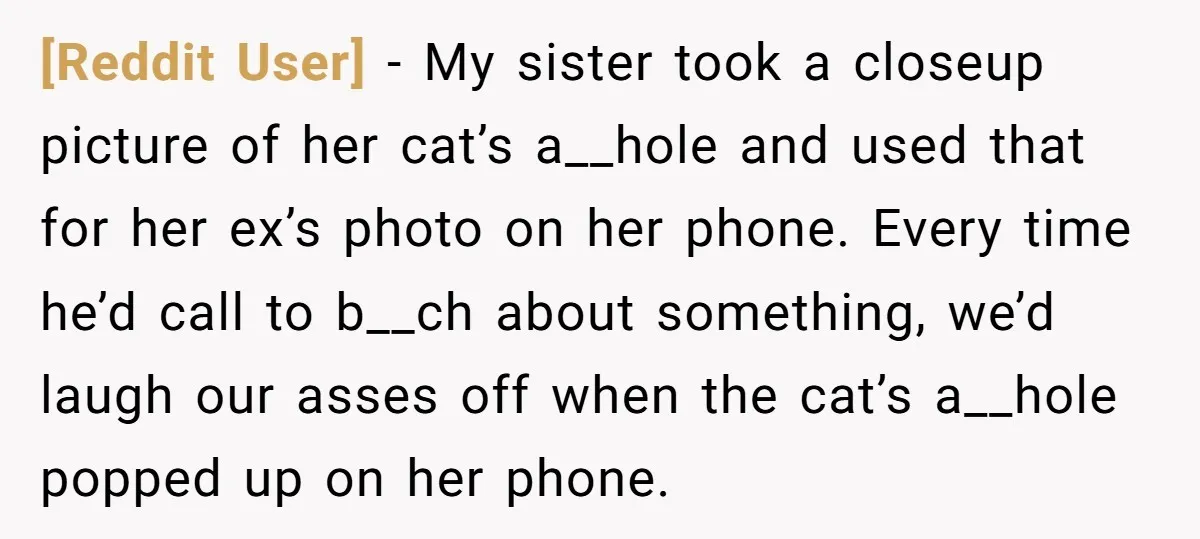 [Reddit User] − My sister took a closeup picture of her cat’s a__hole and used that for her ex’s photo on her phone. Every time he’d call to b__ch about...