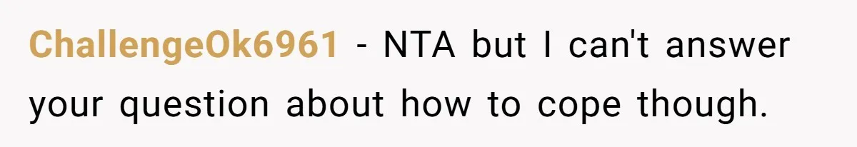 ChallengeOk6961 − NTA but I can't answer your question about how to cope though.