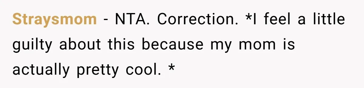 Straysmom − NTA. Correction. *I feel a little guilty about this because my mom is actually pretty cool. *