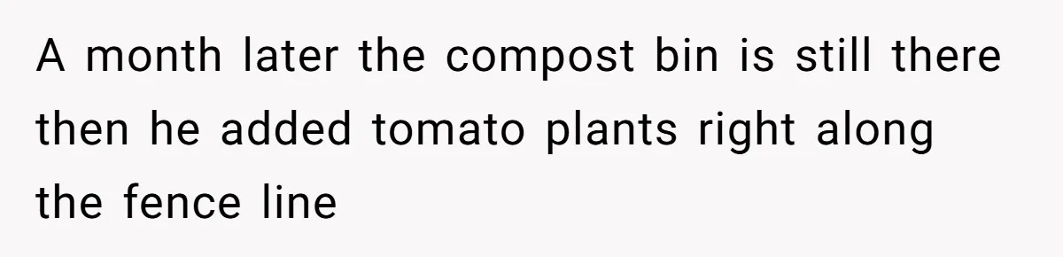 A month later the compost bin is still there then he added tomato plants right along the fence line
