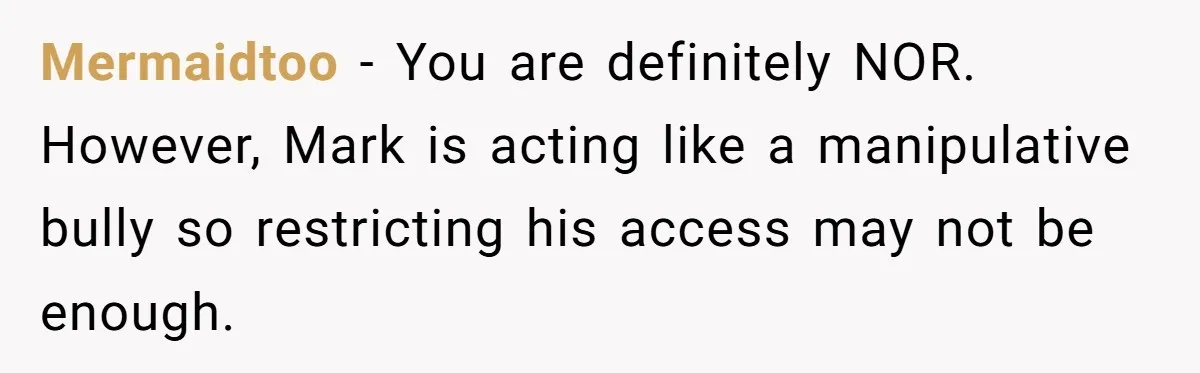 Mermaidtoo − You are definitely NOR. However, Mark is acting like a manipulative bully so restricting his access may not be enough.