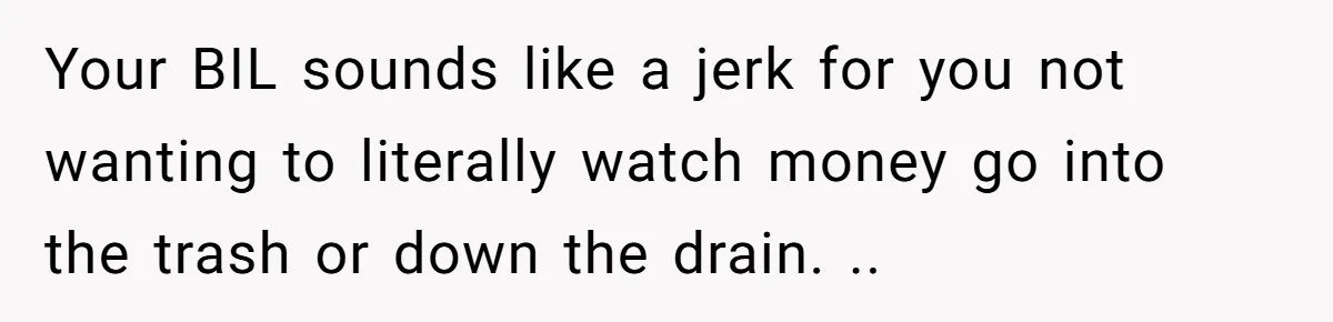 Your BIL sounds like a jerk for you not wanting to literally watch money go into the trash or down the drain. ..