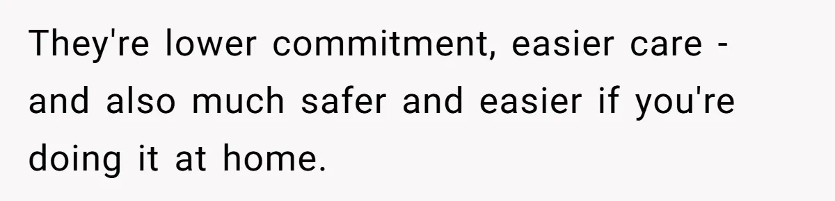 They're lower commitment, easier care - and also much safer and easier if you're doing it at home.