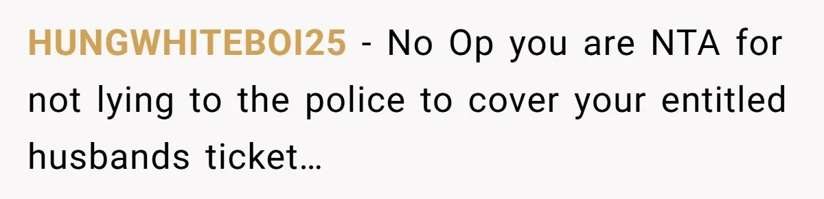 HUNGWHITEBOI25 − No Op you are NTA for not lying to the police to cover your entitled husbands ticket…