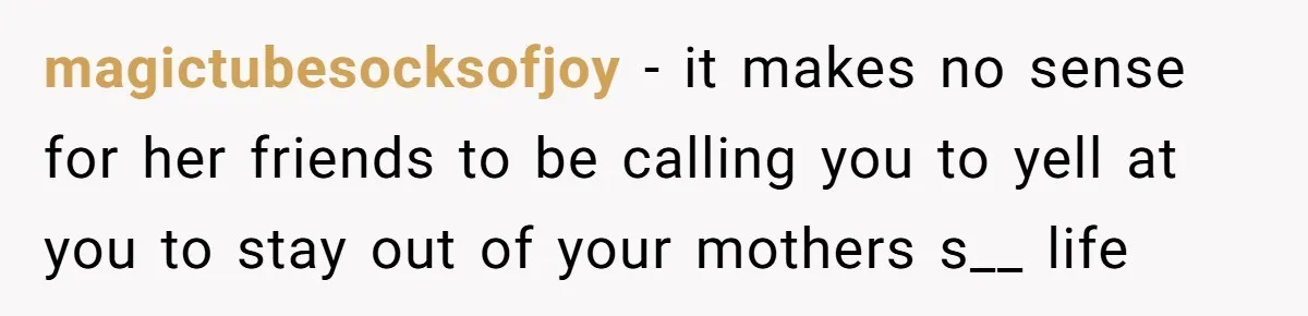 magictubesocksofjoy − it makes no sense for her friends to be calling you to yell at you to stay out of your mothers s__ life