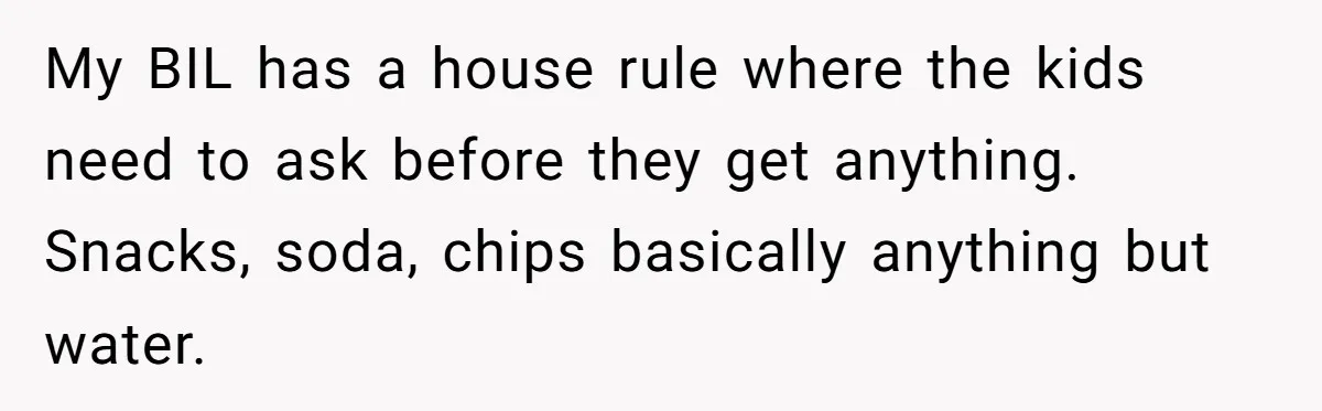He Demanded Everyone Respect His House Rules, Then Got Furious When His Brother-in-Law Did the Same My BIL has a house rule where the kids need to ask before they get anything. Snacks, soda, chips basically anything but water.
