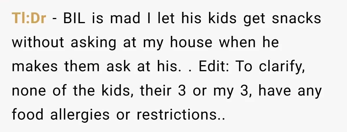He Demanded Everyone Respect His House Rules, Then Got Furious When His Brother-in-Law Did the Same Tl:Dr - BIL is mad I let his kids get snacks without asking at my house when he makes them ask at his. . Edit: To clarify, none of the...