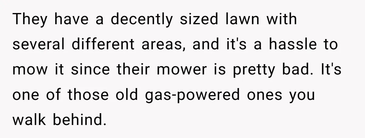 They have a decently sized lawn with several different areas, and it's a hassle to mow it since their mower is pretty bad. It's one of those old gas-powered ones...