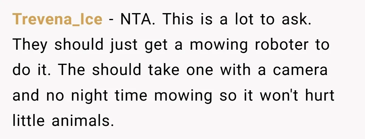 Trevena_Ice − NTA. This is a lot to ask. They should just get a mowing roboter to do it. The should take one with a camera and no night time...
