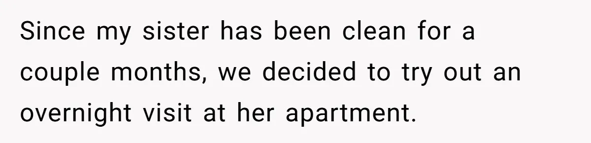 Since my sister has been clean for a couple months, we decided to try out an overnight visit at her apartment.