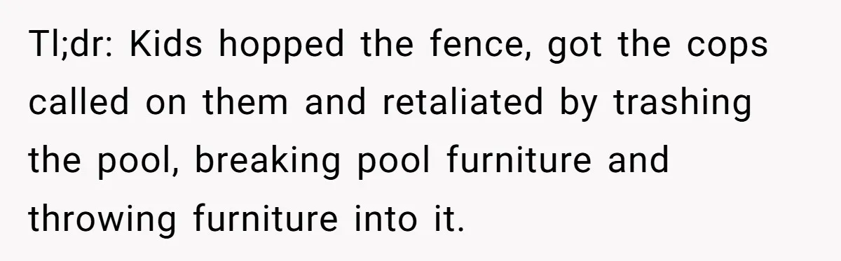 Tl;dr: Kids hopped the fence, got the cops called on them and retaliated by trashing the pool, breaking pool furniture and throwing furniture into it.