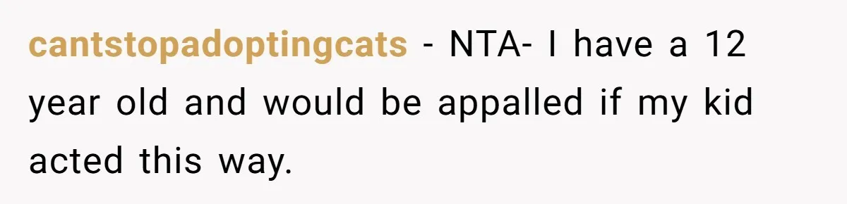 cantstopadoptingcats − NTA- I have a 12 year old and would be appalled if my kid acted this way.