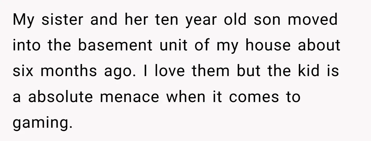My sister and her ten year old son moved into the basement unit of my house about six months ago. I love them but the kid is a absolute menace...
