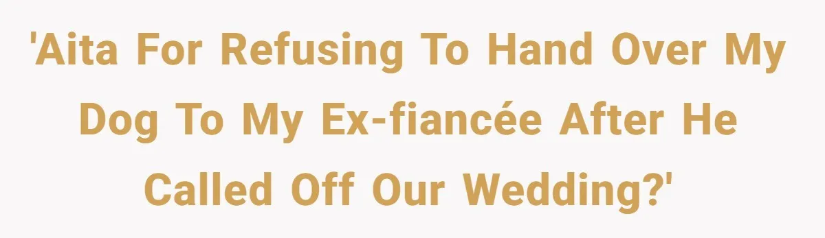 'AITA for refusing to hand over my dog to my ex-fiancée after he called off our wedding?'