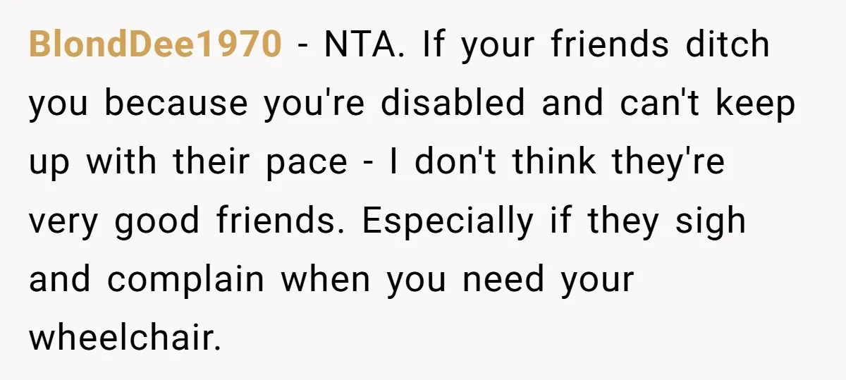 BlondDee1970 − NTA. If your friends ditch you because you're disabled and can't keep up with their pace - I don't think they're very good friends. Especially if they sigh...
