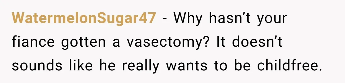 She Thought They Were Both Childfree Until an Unexpected Pregnancy Revealed a Future They Never Agreed On WatermelonSugar47 − Why hasn’t your fiance gotten a vasectomy? It doesn’t sounds like he really wants to be childfree.