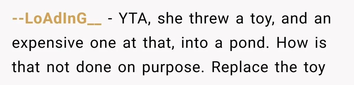 --LoAdInG__ − YTA, she threw a toy, and an expensive one at that, into a pond. How is that not done on purpose. Replace the toy