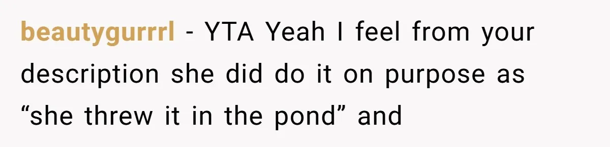 beautygurrrl − YTA Yeah I feel from your description she did do it on purpose as “she threw it in the pond” and