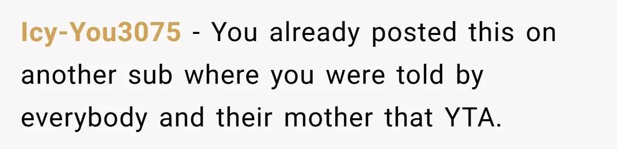 Icy-You3075 − You already posted this on another sub where you were told by everybody and their mother that YTA.