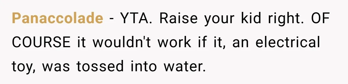 Panaccolade − YTA. Raise your kid right. OF COURSE it wouldn't work if it, an electrical toy, was tossed into water.