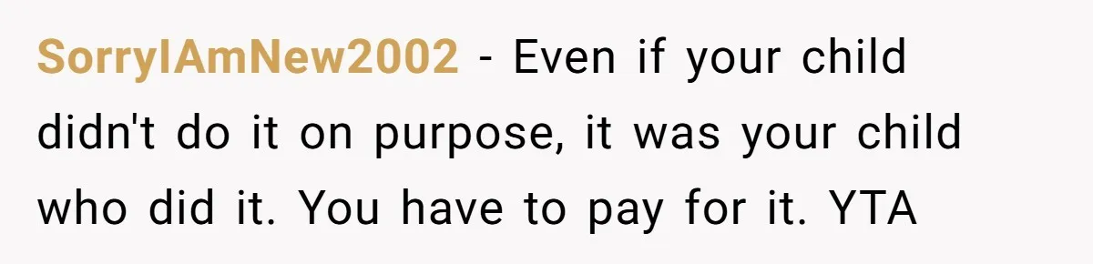 SorryIAmNew2002 − Even if your child didn't do it on purpose, it was your child who did it. You have to pay for it. YTA