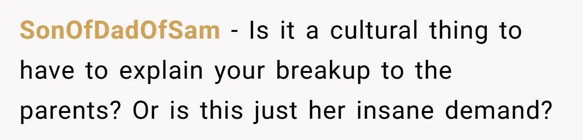 She Ended Their Engagement Over Text, Then Lashed Out When He Calmly Accepted It SonOfDadOfSam − Is it a cultural thing to have to explain your breakup to the parents? Or is this just her insane demand?