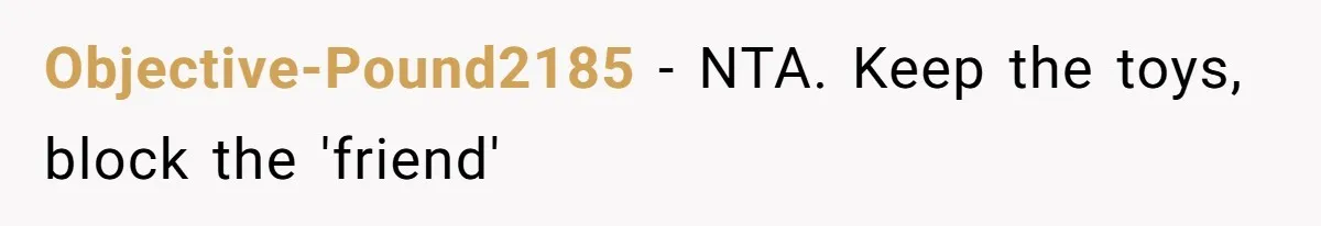 Objective-Pound2185 − NTA. Keep the toys, block the 'friend'
