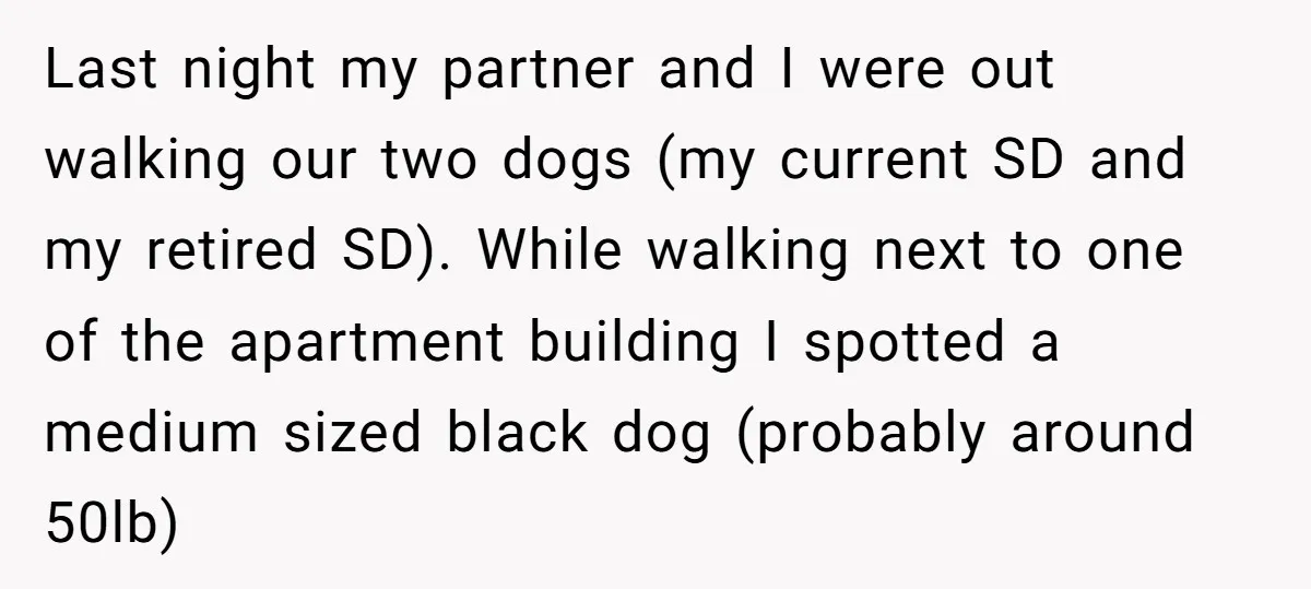 Last night my partner and I were out walking our two dogs (my current SD and my retired SD). While walking next to one of the apartment building I spotted...