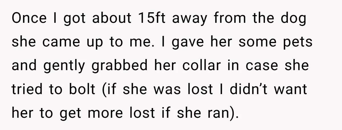 Once I got about 15ft away from the dog she came up to me. I gave her some pets and gently grabbed her collar in case she tried to bolt...