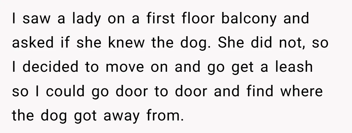 I saw a lady on a first floor balcony and asked if she knew the dog. She did not, so I decided to move on and go get a leash...