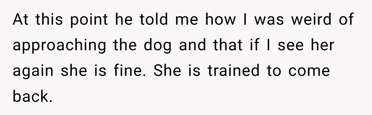 At this point he told me how I was weird of approaching the dog and that if I see her again she is fine. She is trained to come back.