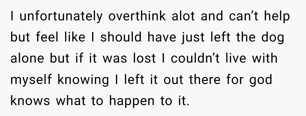 I unfortunately overthink alot and can’t help but feel like I should have just left the dog alone but if it was lost I couldn’t live with myself knowing I...