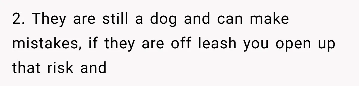 2. They are still a dog and can make mistakes, if they are off leash you open up that risk and