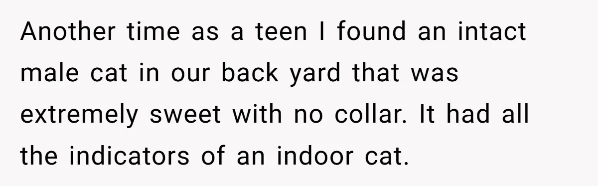 Another time as a teen I found an intact male cat in our back yard that was extremely sweet with no collar. It had all the indicators of an indoor...