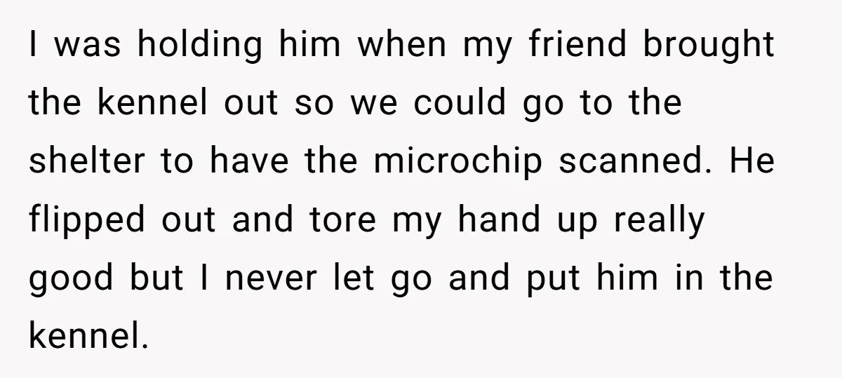 I was holding him when my friend brought the kennel out so we could go to the shelter to have the microchip scanned. He flipped out and tore my hand...