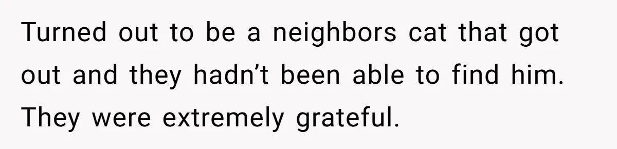 Turned out to be a neighbors cat that got out and they hadn’t been able to find him. They were extremely grateful.
