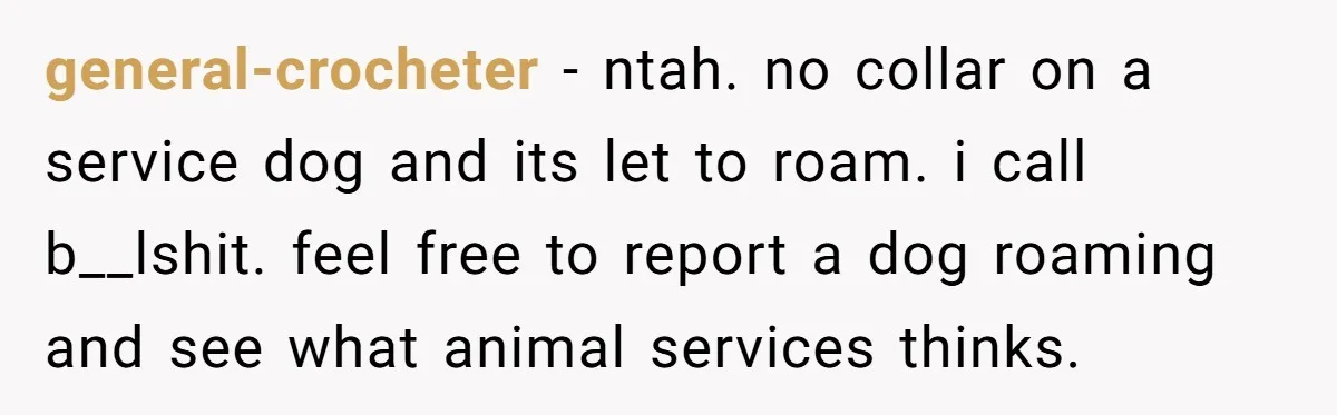 general-crocheter − ntah. no collar on a service dog and its let to roam. i call b__lshit. feel free to report a dog roaming and see what animal services thinks.