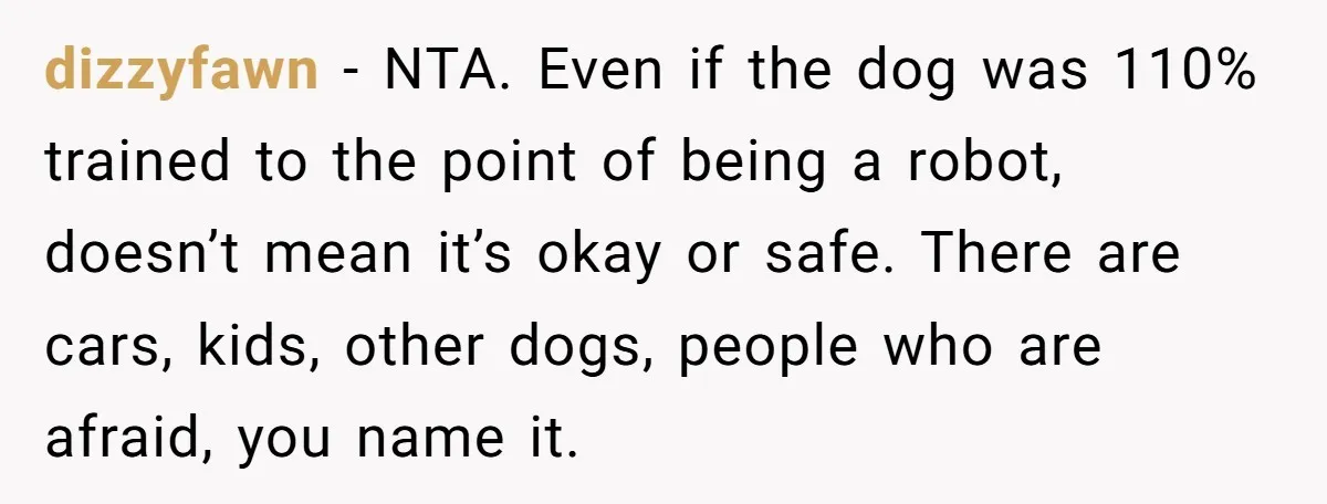 dizzyfawn − NTA. Even if the dog was 110% trained to the point of being a robot, doesn’t mean it’s okay or safe. There are cars, kids, other dogs, people...